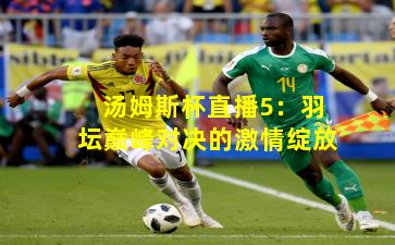 汤姆斯杯直播5：羽坛巅峰对决的激情绽放