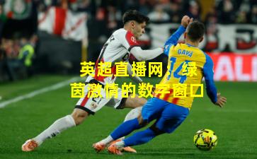英超直播网：绿茵激情的数字窗口